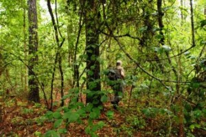 Recovered_JPEG_Digital_Camera_1151